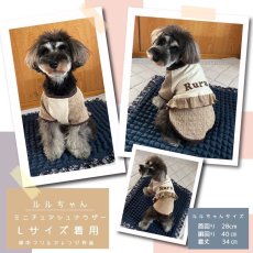 画像9: Ryan （ライアン）ラグランスリーブのTシャツ＆トレーナー【27サイズ展開】ドッグウェアー/犬服 (9)