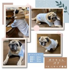 画像10: Ryan （ライアン）ラグランスリーブのTシャツ＆トレーナー【27サイズ展開】ドッグウェアー/犬服 (10)