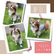 画像5: Ryan （ライアン）ラグランスリーブのTシャツ＆トレーナー【27サイズ展開】ドッグウェアー/犬服 (5)