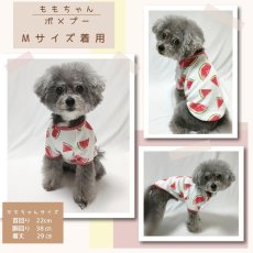 画像7: Ryan （ライアン）ラグランスリーブのTシャツ＆トレーナー【27サイズ展開】ドッグウェアー/犬服 (7)