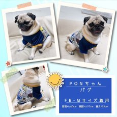 画像9: Matthew （マシュー）ラグランスリーブのTシャツ＆トレーナー【27サイズ展開】ドッグウェアー/犬服  (9)