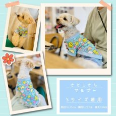 画像4: Matthew （マシュー）ラグランスリーブのTシャツ＆トレーナー【27サイズ展開】ドッグウェアー/犬服  (4)