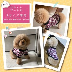 画像5: Matthew （マシュー）ラグランスリーブのTシャツ＆トレーナー【27サイズ展開】ドッグウェアー/犬服  (5)