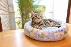 画像2: うちの子の特等席 ペットベッド型紙｜3デザイン×３サイズ展開（11月4日発送開始商品） (2)