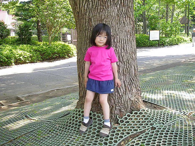 画像3: ガールズTシャツ