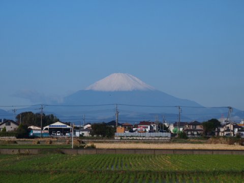 富士山