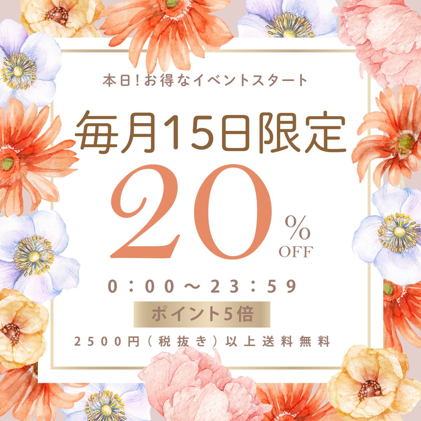 【明日12時発売】新作2型 debut｜限定100型 50％OFF SALE