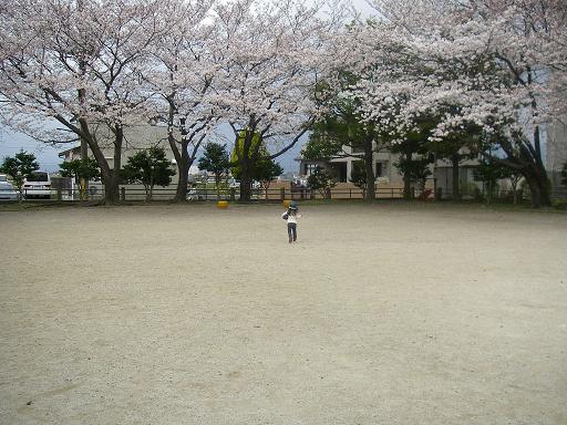 入園、入学おめでとうございます